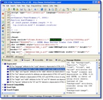 CSE HTML Validator screenshot 4