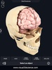 Skull Anatomy Pro. screenshot 3