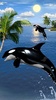 Dolphins live wallpaper screenshot 2