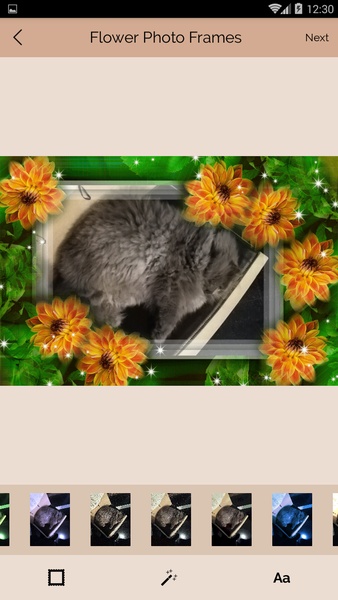 Flower Photo Frames - Preview 9