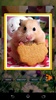 Hamster Puzzles screenshot 9