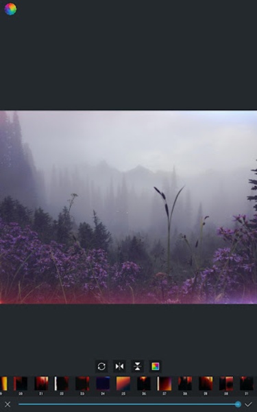 Afterlight - Preview 2