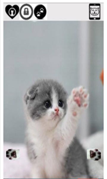 cute funny cat - Preview 6
