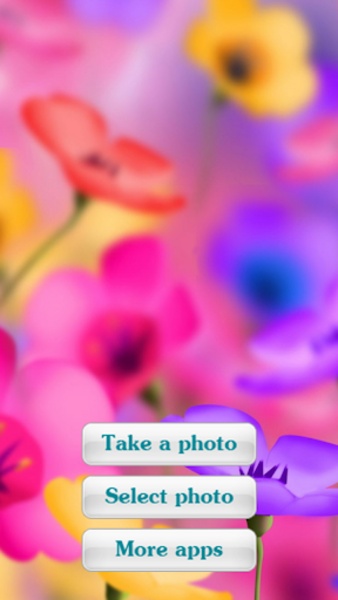 Flowers Frames 2 - Preview 10