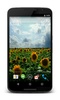 Sunflowers 3D Live Wallpaper screenshot 5