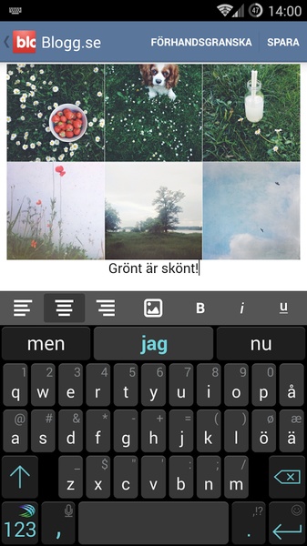 Blogg.se - Preview 1