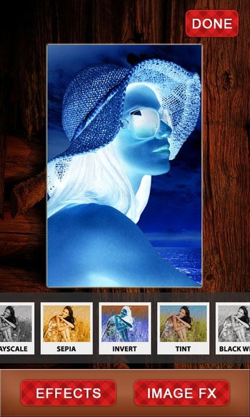 PicFrame With Effects - Preview 2