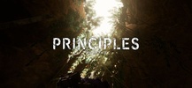 Principles screenshot 1