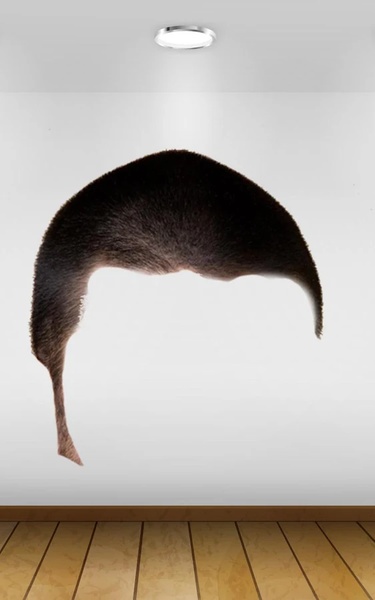 Hairstyle Suit - Preview 3