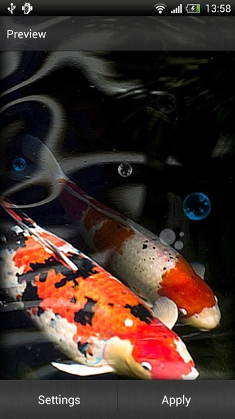 Koi Fish Live Wallpaper - Preview 4