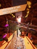 Danger Darrel | 3D Airplane Race Action Adventure screenshot 1
