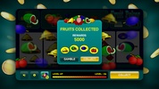Fruit Poker Deluxe screenshot 4
