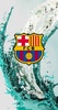 Barcelona wallpaperHD screenshot 8