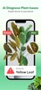MyPlant screenshot 5