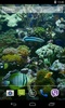 Aquarium Video Live Wallpaper screenshot 4