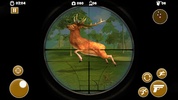 Wild Bear Animal Hunting screenshot 6