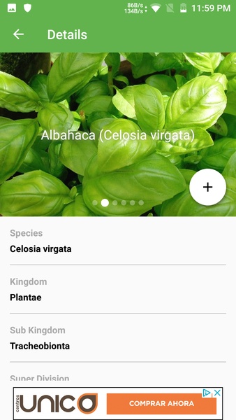 PlantSnap - Preview 1