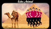 Echo Animal Effect : best echo mirror with animal screenshot 6