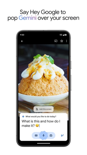 Google Gemini 1.0.741105040 UI shots 19