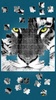 Tigers Jigsaw Puzzle screenshot 4