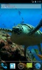 Sea Turtle screenshot 3