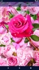 Pink Rose 4K Live Wallpaper screenshot 4