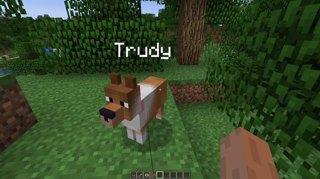 Pets Ideas Minecraft - Preview 4