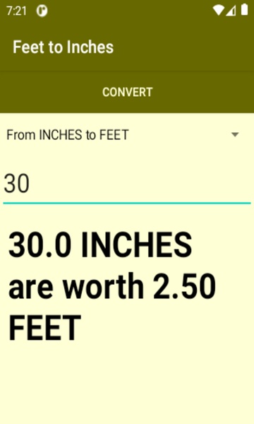 Feet to Inches converter - Preview 2