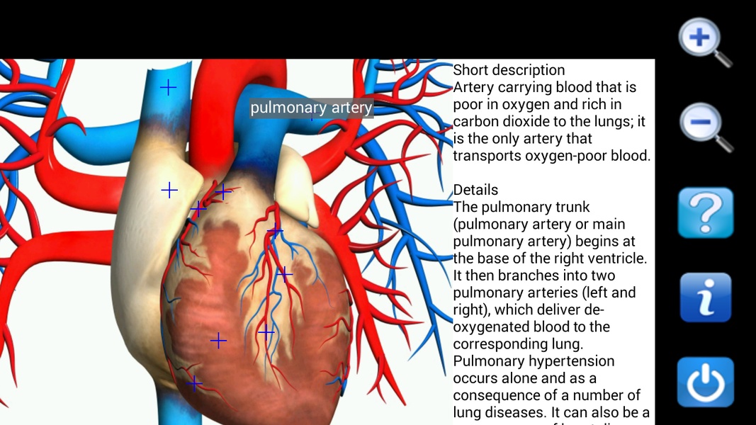Visual Anatomy Free - Preview 2