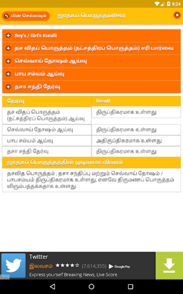 Kundli Software - Preview 11