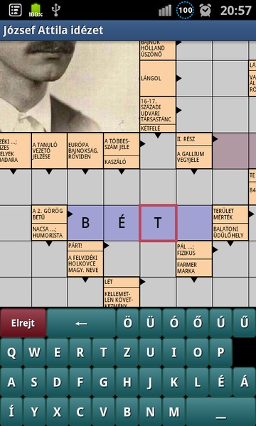 Real crossword (free) - Preview 21