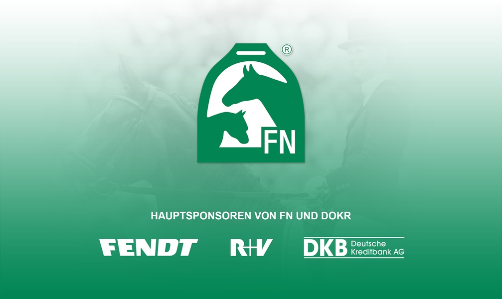 FN - Preview 5