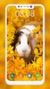 Cute Hamster Wallpapers screenshot 3