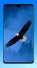 Eagle Wallpaper HD screenshot 10