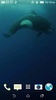 Orca 3D Video Wallpaper screenshot 2