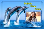 Dolphin Photo Frame screenshot 4