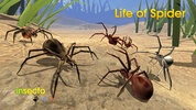 Life of Spider screenshot 8