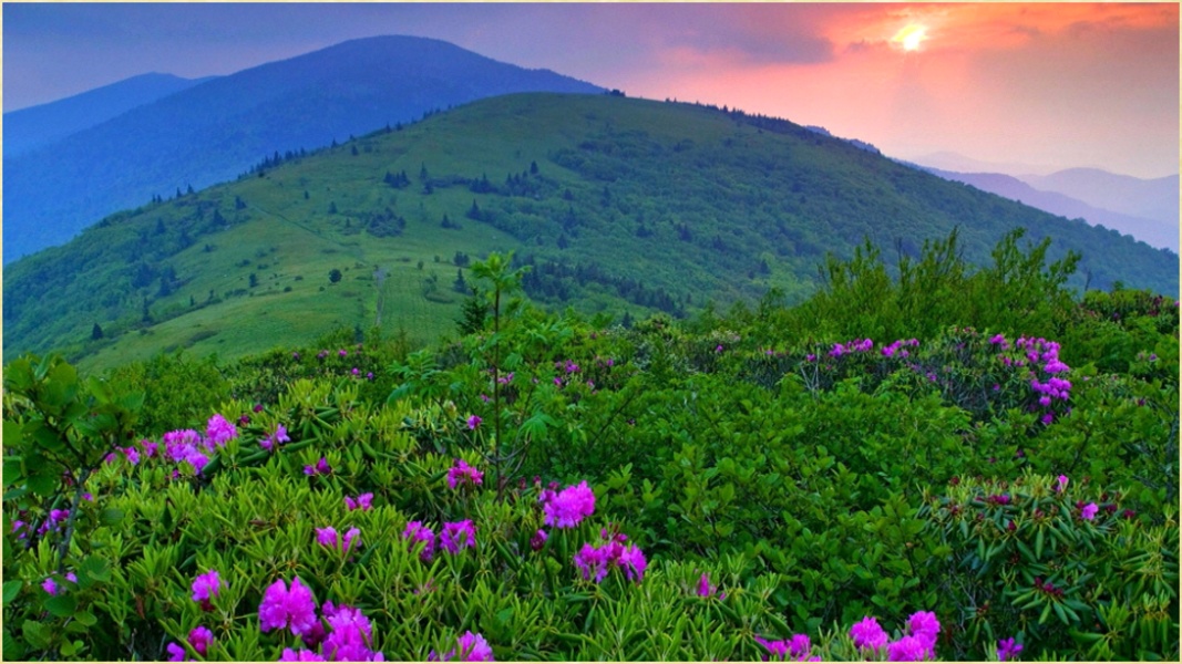 Photography Wallpapers - Preview 8