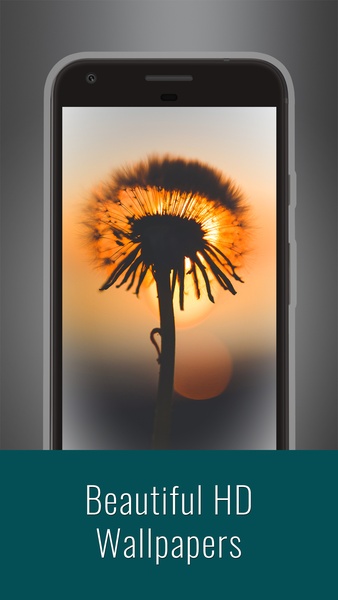 Beautiful HD Wallpapers - Preview 16