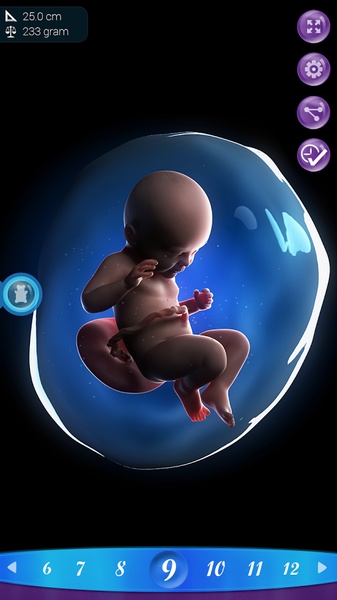 PregApp - Preview 3