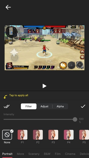MontagePro - Preview 2