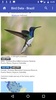 Bird Data - Brazil screenshot 4