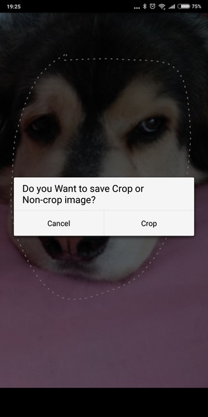 Copy Paste Photo Camera Editor - Preview 6