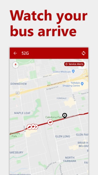 My TTC - Preview 4