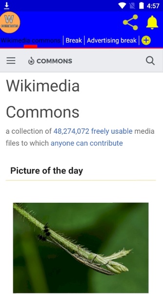 Wikimedia commons - Preview 3