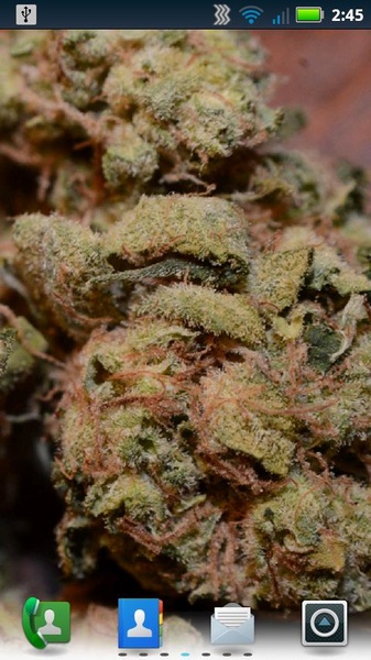 Sour Diesel Live Wallpaper - Preview 5