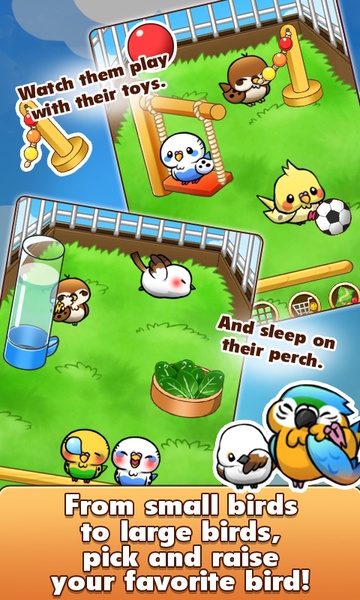 Bird Life - Preview 5