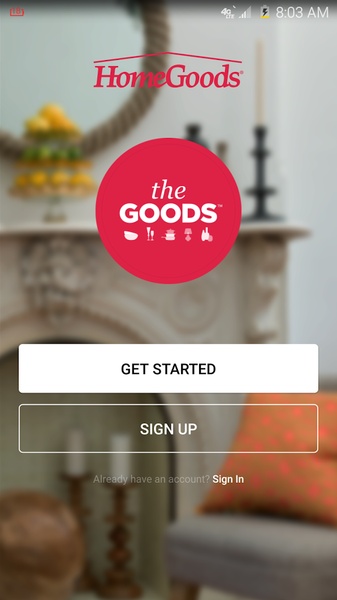 The Goods - Preview 4