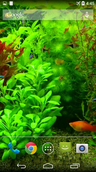 Real Aquarium 3D Wallpaper - Preview 5