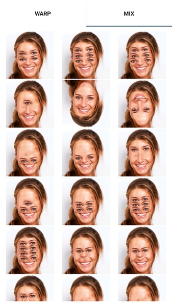 FaceFun - Preview 5